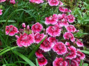 ʯ�񌦼Ҿӭh(hu��n)����Ӱ�-ʯ����L(f��ng)ˮ�W(xu��)��(y��ng)��