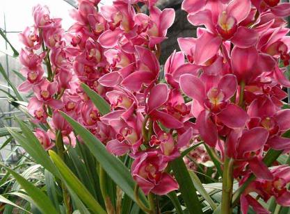 ʲô���m�Ϸ����҃�(n��i)�B(y��ng)���m�Ͼ��Ҕ[�ŵľŷN����