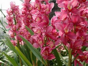 ʲô���m�Ϸ����҃�(n��i)���m�Ͼ��Ҕ[�ŵľŷN����