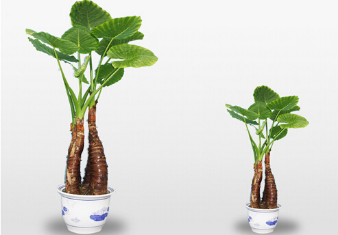 ��ˮ�^���ж����������Ќ������B(y��ng)��ˮ�^�����