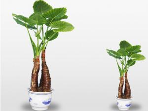 ��ˮ�^���ж����������Ќ������B(y��ng)��ˮ�^�����