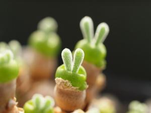 �̹�h(hu��n)�c�Ҿ��L(f��ng)��Ĵ���-�̹�h(hu��n)���L(f��ng)ˮ�W(xu��)��(y��ng)��