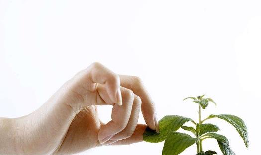 ��ɶ�w���w�|�������׵ð��Y