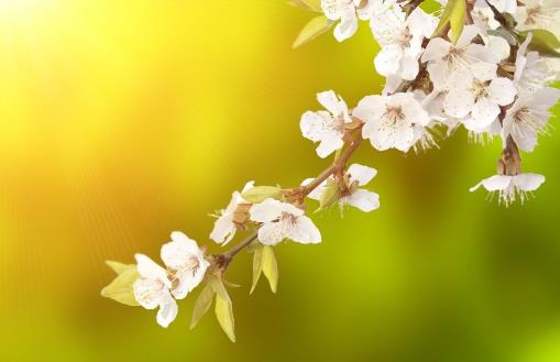 �����B(y��ng)���Õr�� ������������