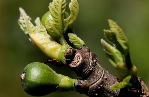 �����B(y��ng)���Õr�� ������������