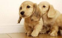 ������ҧ����ô̎��