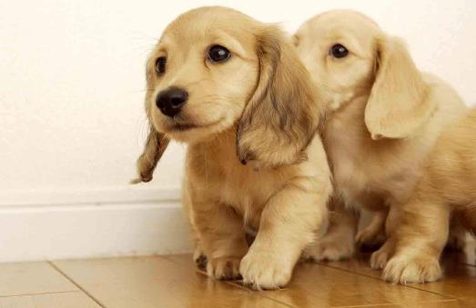 ������ҧ����ô̎��