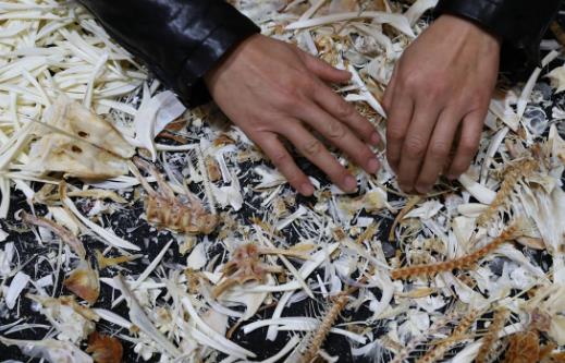 20��(g��)�����еļ��ȳ��R(sh��)�ճ�������������������y�������Еr(sh��)