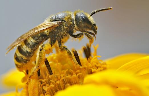 20��(g��)�����еļ��ȳ��R(sh��)�ճ�������������������y�������Еr(sh��)