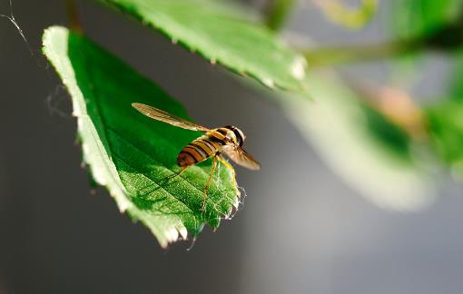 20��(g��)�����еļ��ȳ��R(sh��)�ճ�������������������y�������Еr(sh��)