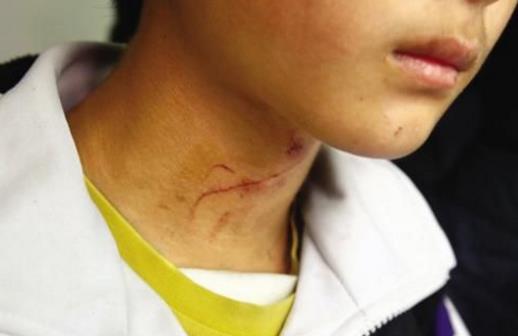 20��(g��)�����еļ��ȳ��R(sh��)�ճ������У�����������y�������Еr(sh��)