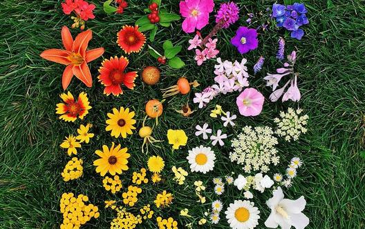 ��(qi��ng)�ȰY�ı��F(xi��n)������Щ