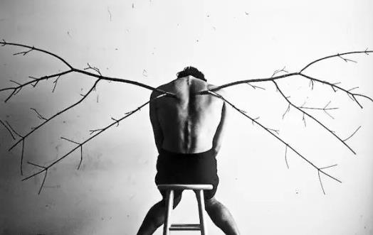 �����Y���ǲ���֮�Y �R(sh��)�e�����Y����