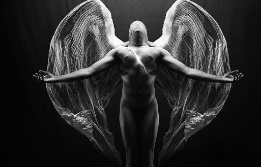 �����Y���ǲ���֮�Y �R(sh��)�e�����Y����