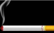 ������(du��)�������Σ��