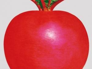 �|�����Լt�}���ί�ʹ�L(f��ng)