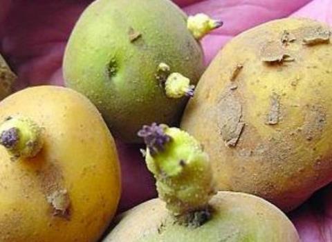 �����L(zh��ng)ѿ������ж� ֔(j��n)������׃��l(f��)ѿ���������ж�