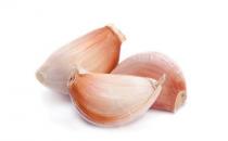 ��������@Щʳ�￹�������V ���A(y��)�����Y���ʳ��(x��)�T