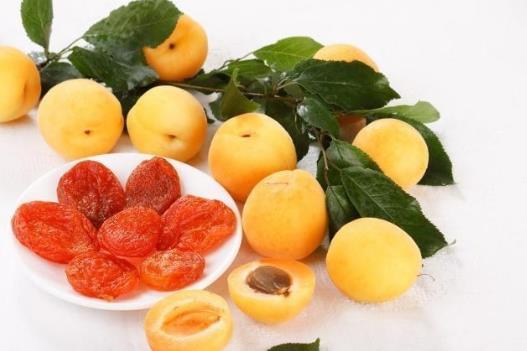 ���򲡵��ʳ���ɴ�ȫ ���򲡻���Ҫ��ס���~�_��