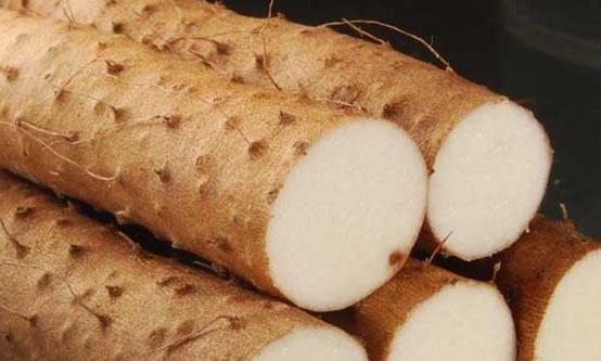 ɽˎ���u������֮ʳ ���N�����ɳ�ɽˎ���a�I