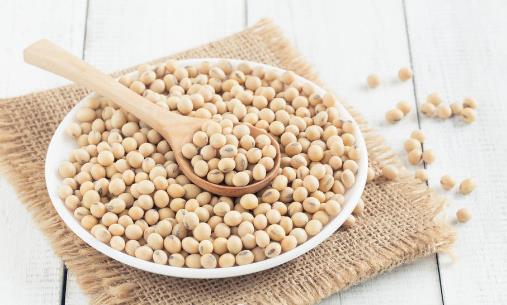 ʳ��I�B(y��ng)��܊���Ǖr��ԓ�ղ��� �I�B(y��ng)���S����ʳ��