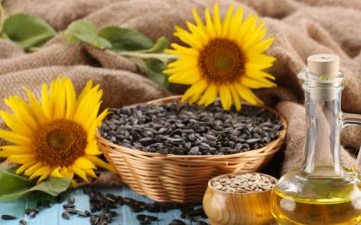 ÿ��һ�ѿ����� �I�B(y��ng)�S����Ƥ�w�ϻ�