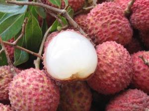 ��֦��α��r��������֦���rС���R