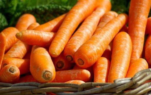 ��Ѫ֬�Ǳ����ğ��TԒ�} 10�Nʳ�������ڸ���Ѫ֬��B(t��i)