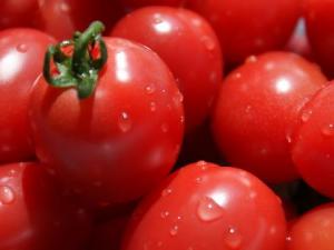 ���t����ô���óԣ����t����������ȫ