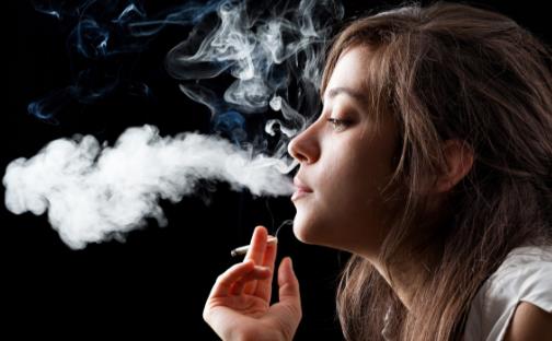 �韟���������� ԇԇ�@Щʳ��