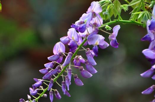 6���L���{(di��o)�휫 ׌ƣ�v����MѪ��(f��)��