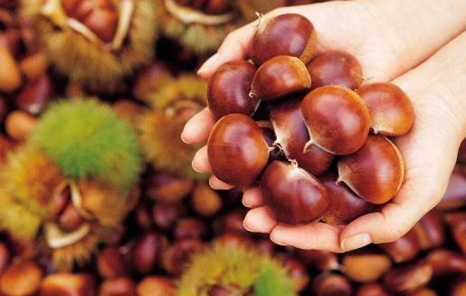 ����������ȥƤ�� ���䱣���������ķ���