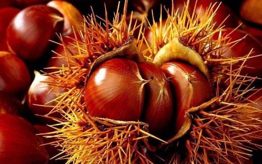 ����������ȥƤ�� ���䱣���������ķ���