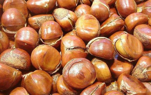 ����������ȥƤ�� ���䱣���������ķ���