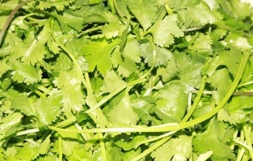 ׌ʳ�ēQ��(g��)��ʽ��(l��i)���r ��Ҋ(ji��n)�߲˱��rС����