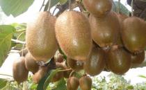 �J���ҵĴ��췽�� �J���ҵı��淨