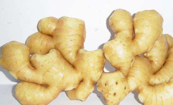 ���������[�صĿ��׸��� ��������������Ͻ�B