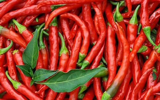 �ЋD�ܳ������� ��������(du��)̥����Ӱ푆�