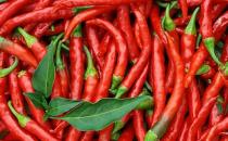 �ЋD�ܳ������� ��������̥����Ӱ푆�