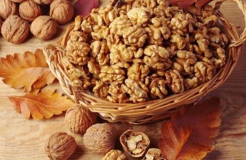 ׌�������� ���ڶ�����Nʳ��