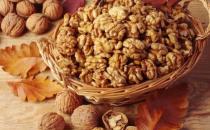 ׌�������� ���ڶ�����Nʳ��