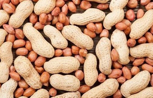 ׌�������� ���ڶ�����Nʳ��