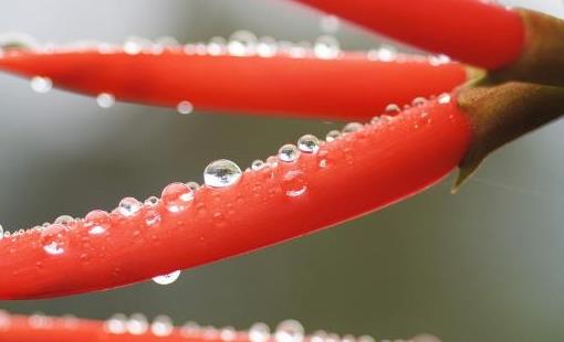 �ЋD��ζʳ�V 2��ʳ�V�ɽ��