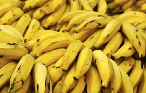 �ЋD����ʳ��ľ�� �Ժ������l(f��)���a(ch��n)