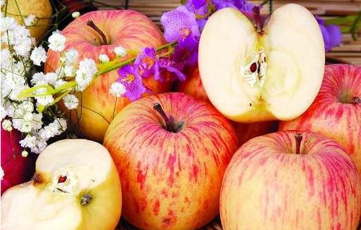 �ЋD����ʳ��ľ�� �Ժ������l(f��)���a(ch��n)