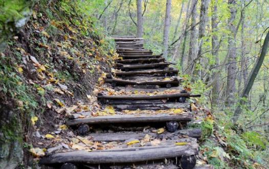 �ِۿְ֑Y����ʲô�Y����