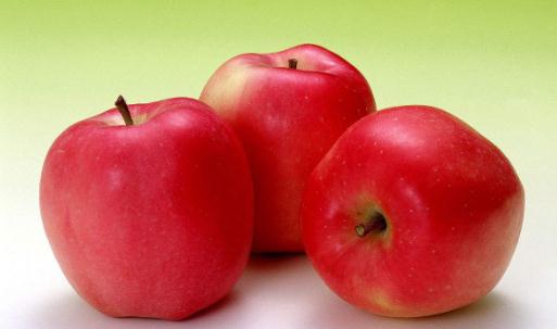 ʮ����ʿ�p��ʳ�V׌��������˰�����