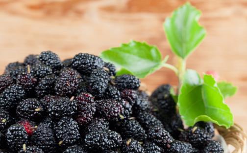 ���y��Ů��һ������� �Ԏ׿���ʳ�ྐྵ���p�ɳ���