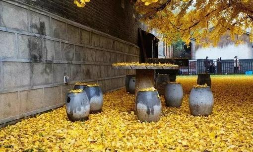 ��(y��u)������ߣ��T�����ǟo�ʕ繤��ô�k��