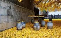 ��(y��u)������ߣ�?ji��n)T�����ǟo(w��)�ʕ繤��ô�k��